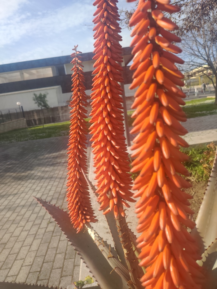 Присоединяюсь к бунту :3 | Пикабу