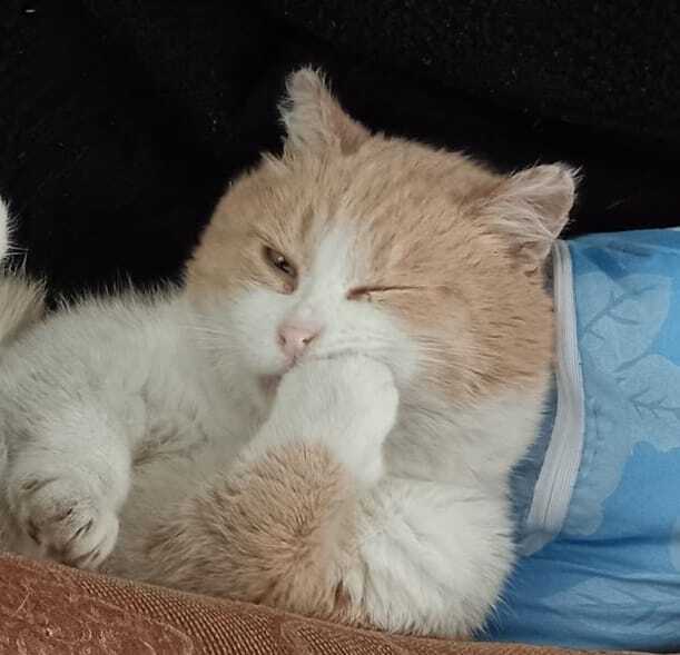 ��� ����� ��������� �������� � ������!