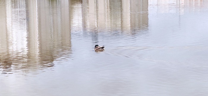 Мелкий бундюн