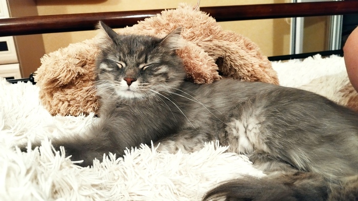 �����-����