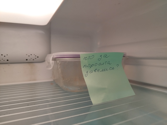 ���� ���� ������ ����