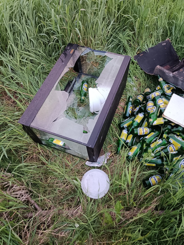 ���� ������ ����!!!