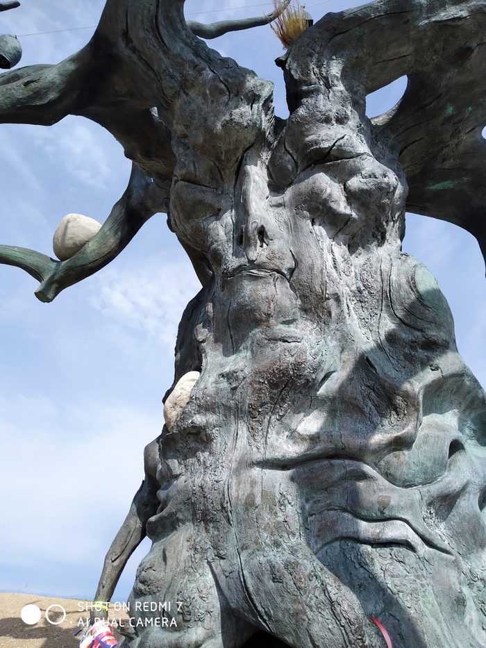 ���� ��� ����