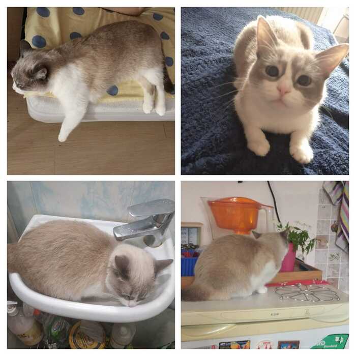 ������ ���� ����� ���������!