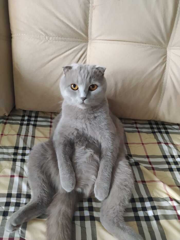 ����! ��� �������!