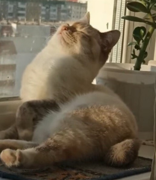   !