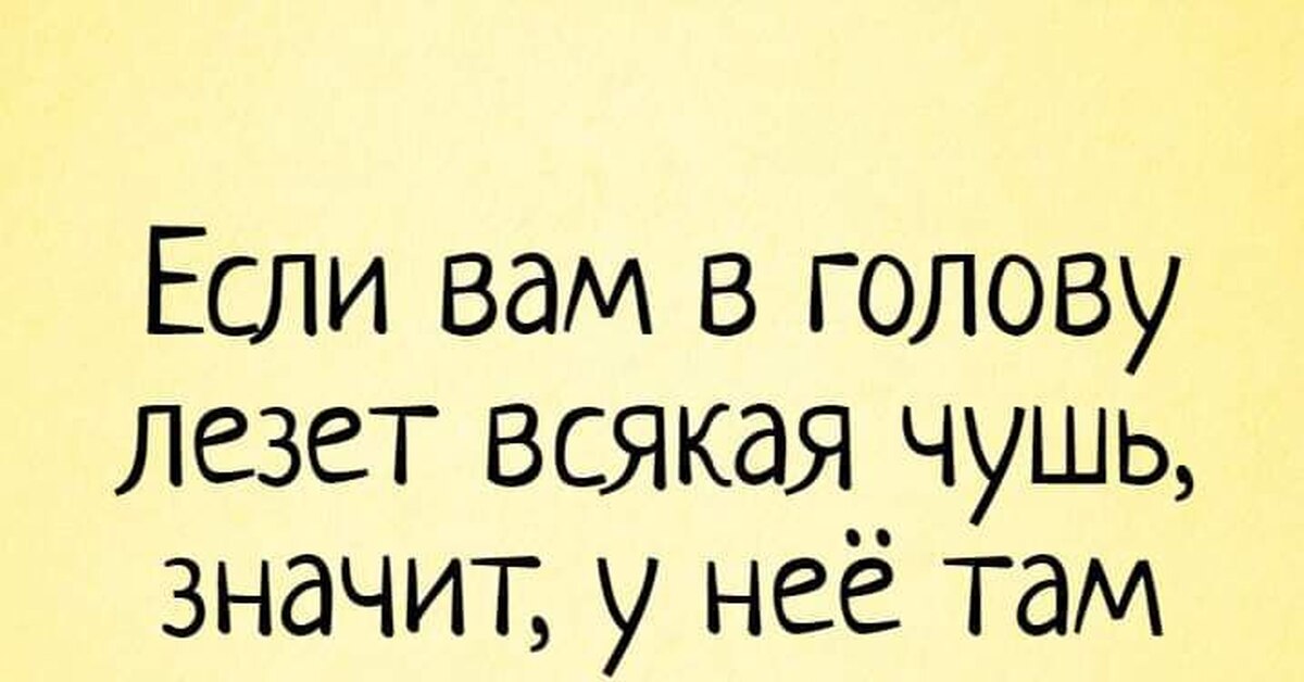 Лезут в голову. Если вам в голову лезет всякая чушь значит у неё там гнездо. Если в голову лезет всякая чушь значит там у нее гнездо. Гнездо прикол. Если вам в голову лезет всякая чушь значит у неё там гнездо картинки.