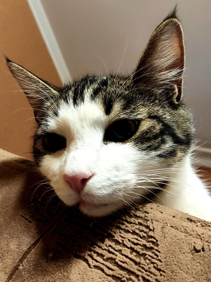 �������� �����