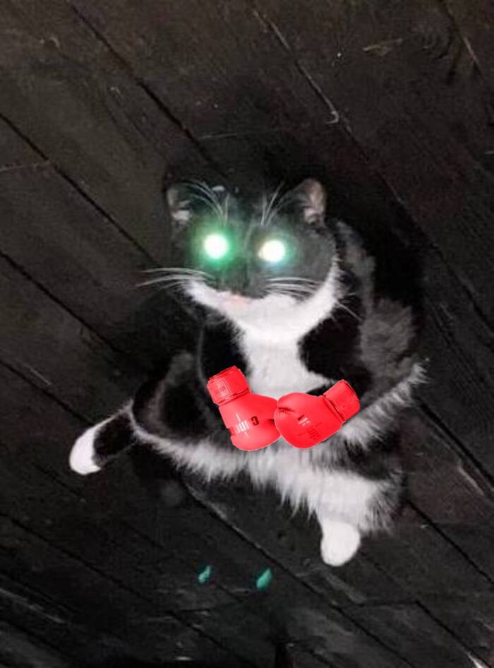 ����? ���� � �����, �����!!