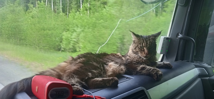 � � ���� ��