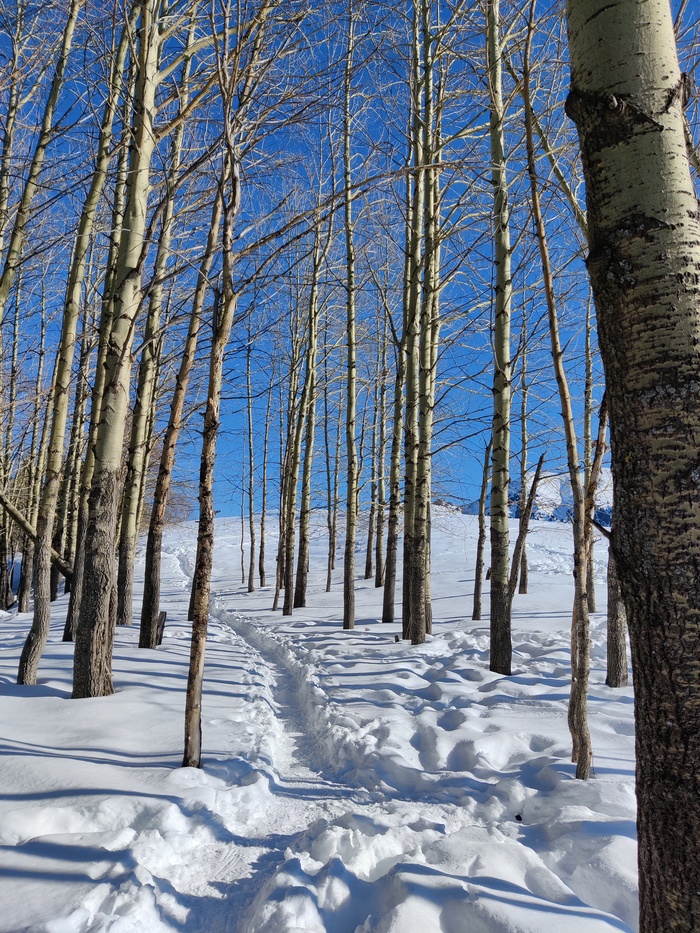 Жара на пикабу и на улице