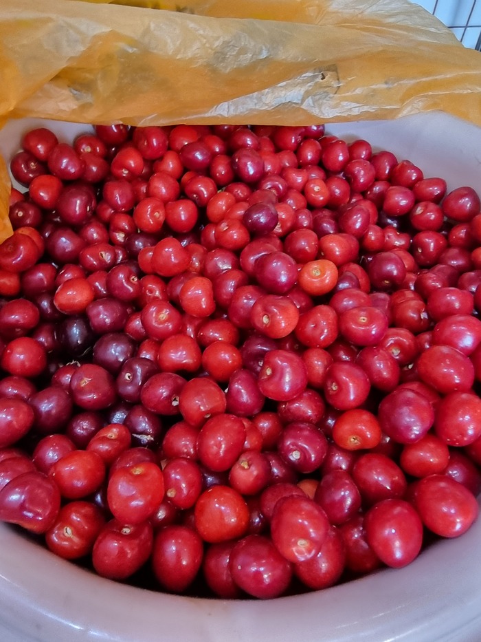 ������ ������ ������ � �� ��������� �������