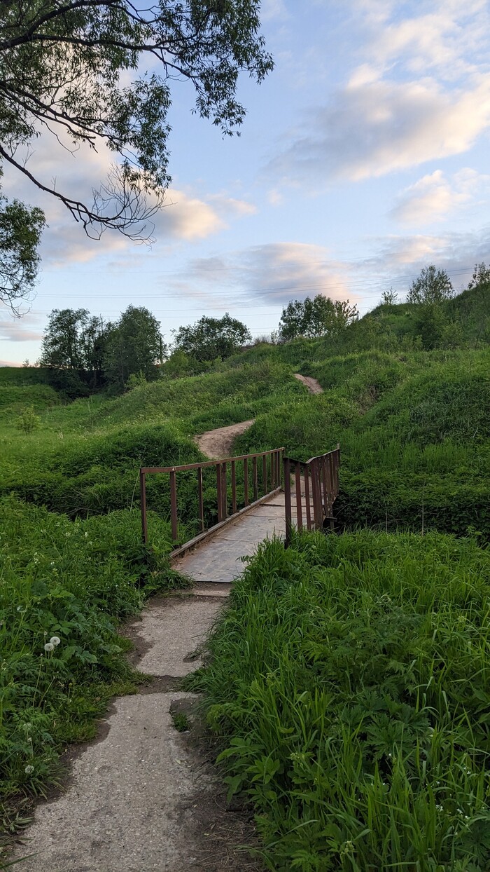 В поддержку бунта