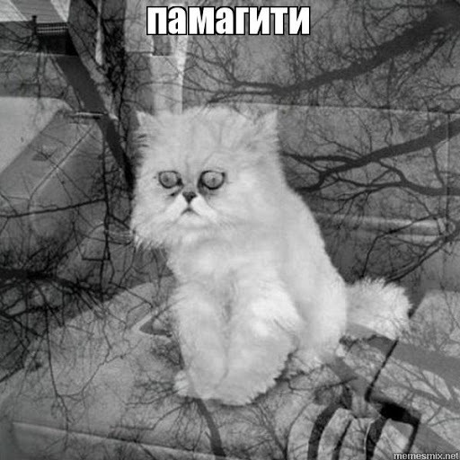 Не бунд. Покупка первого автомобиля