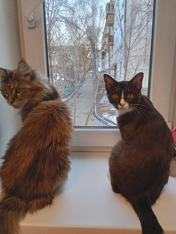 ���� � ���� ������ ��������)