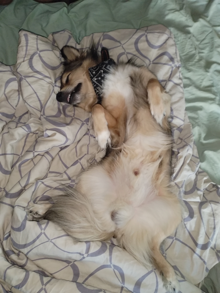 �� ����� �� ������