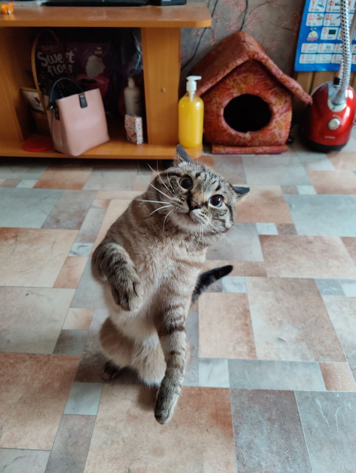 ���� ������?!