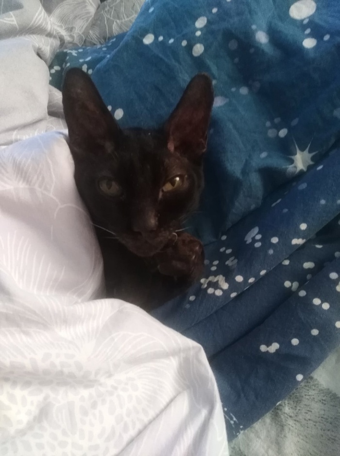 ����� � ��������� ������� �� ����