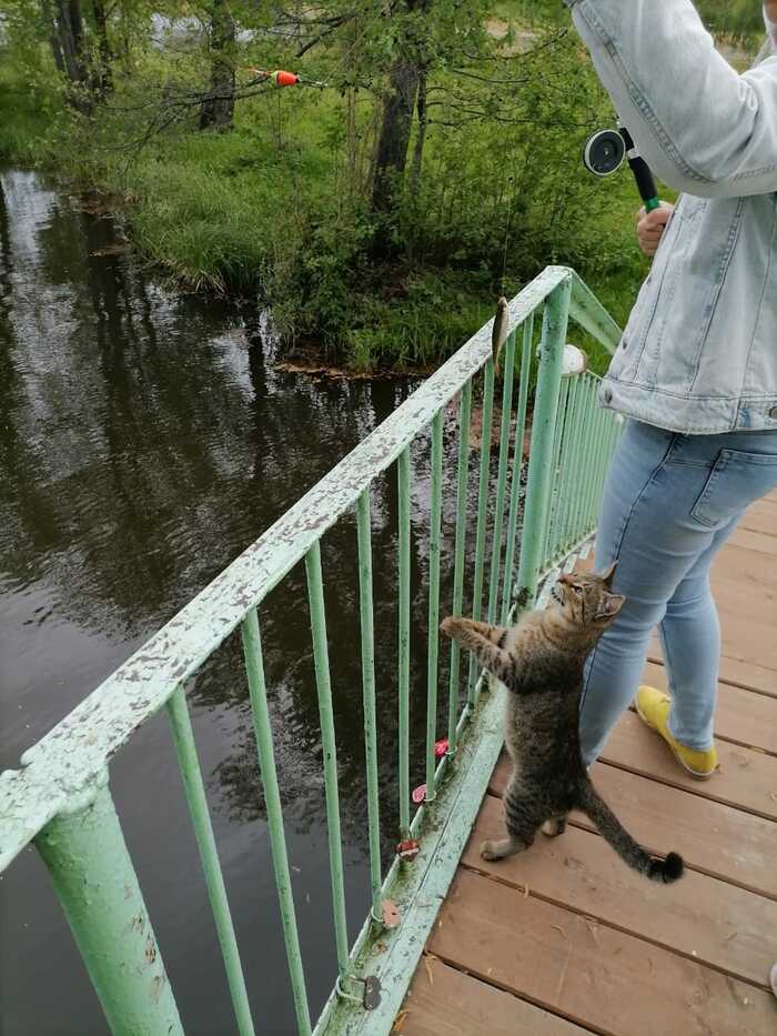 ) , , , 