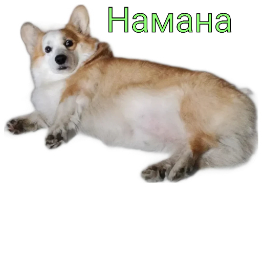 - ,  ?!