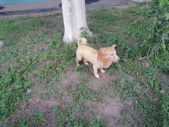       , , , 