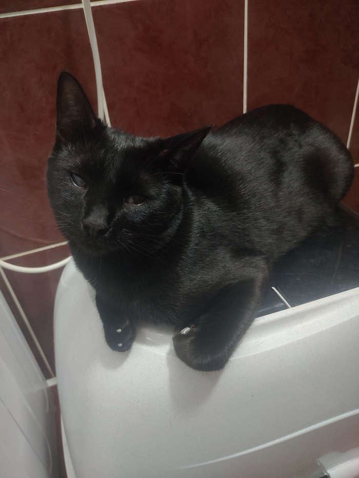 Просто последняя фотка с телефона