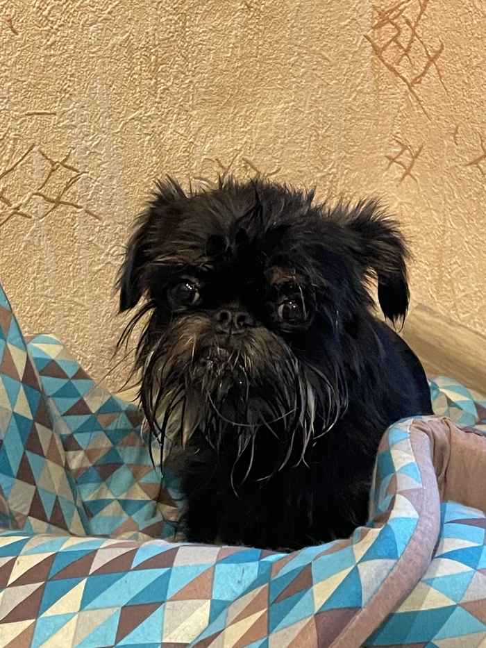 ������� ����, �� ����������� ������