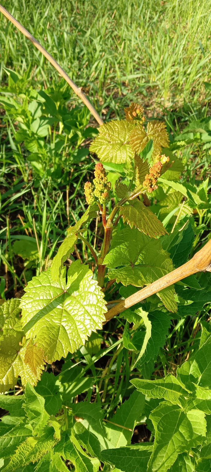 ����� �� ����