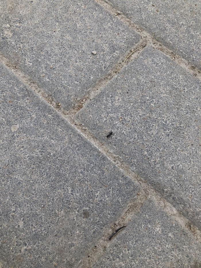 Бунд так бунд