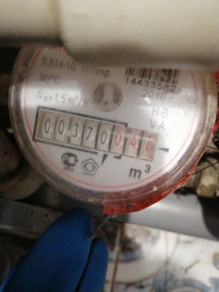 ,      , , , , , Proidemtes,  