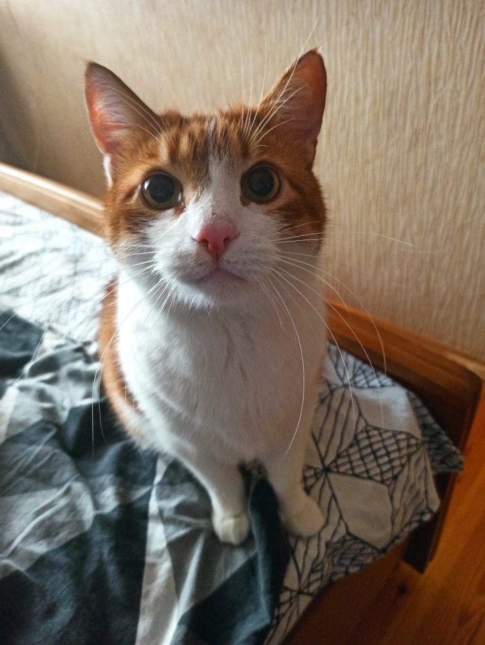 ������� ���!