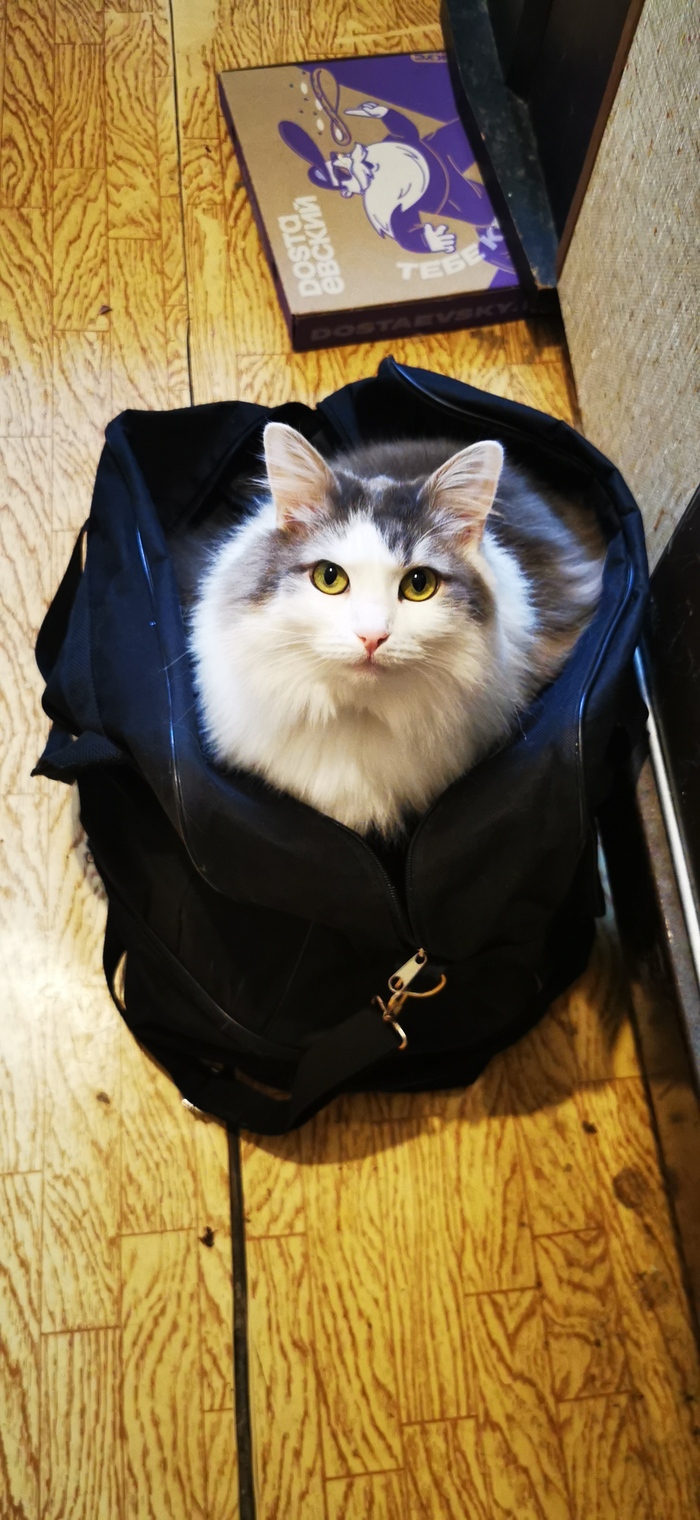 �������� � ��� �������, ��� ���� ����