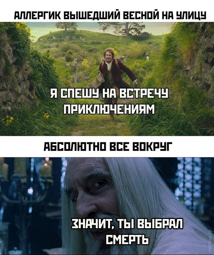 Аллергик, нежданное путешествие или туда и обратно