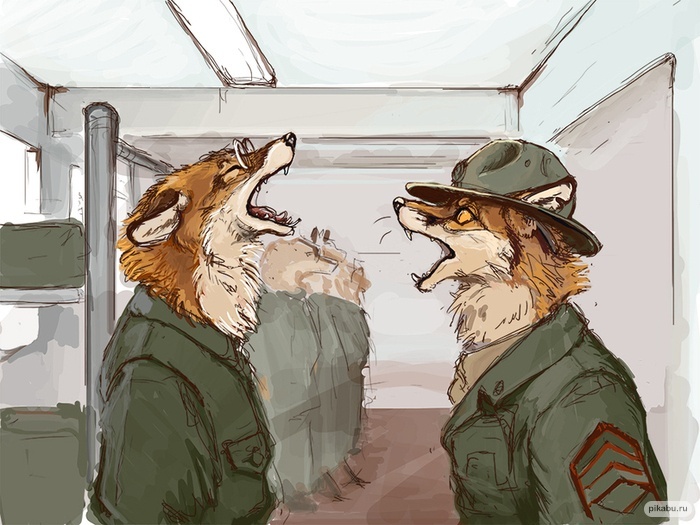 ��������� ���� )