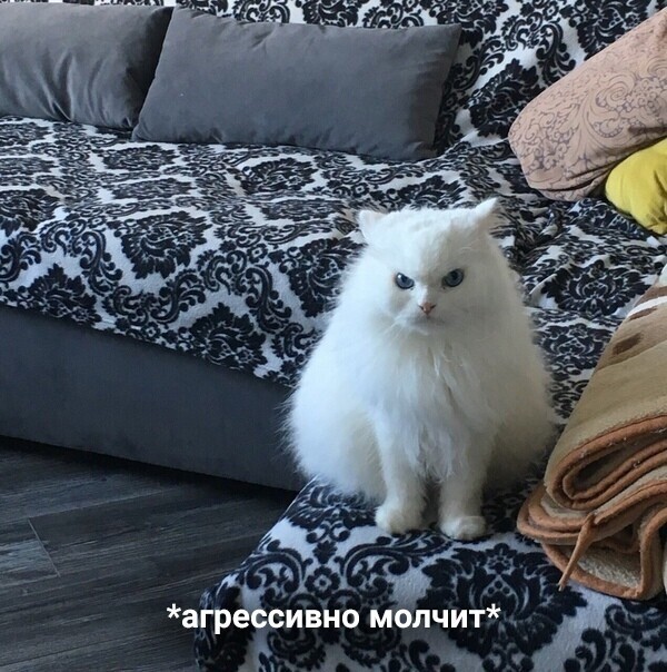 Я такая же йухня