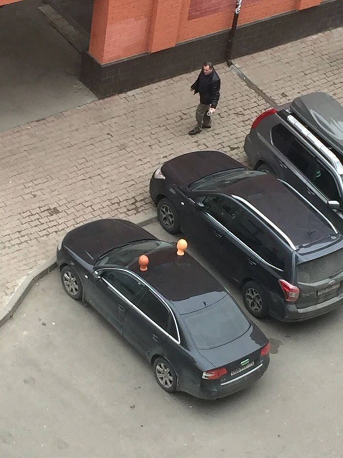 Ответ на пост «Ради бунта - 2»