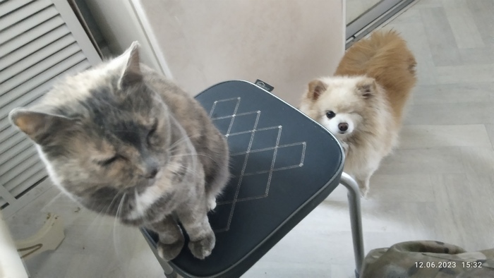 Подружки ждут конца обеда )))