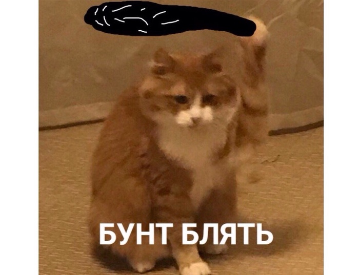 Ну раз уж начали