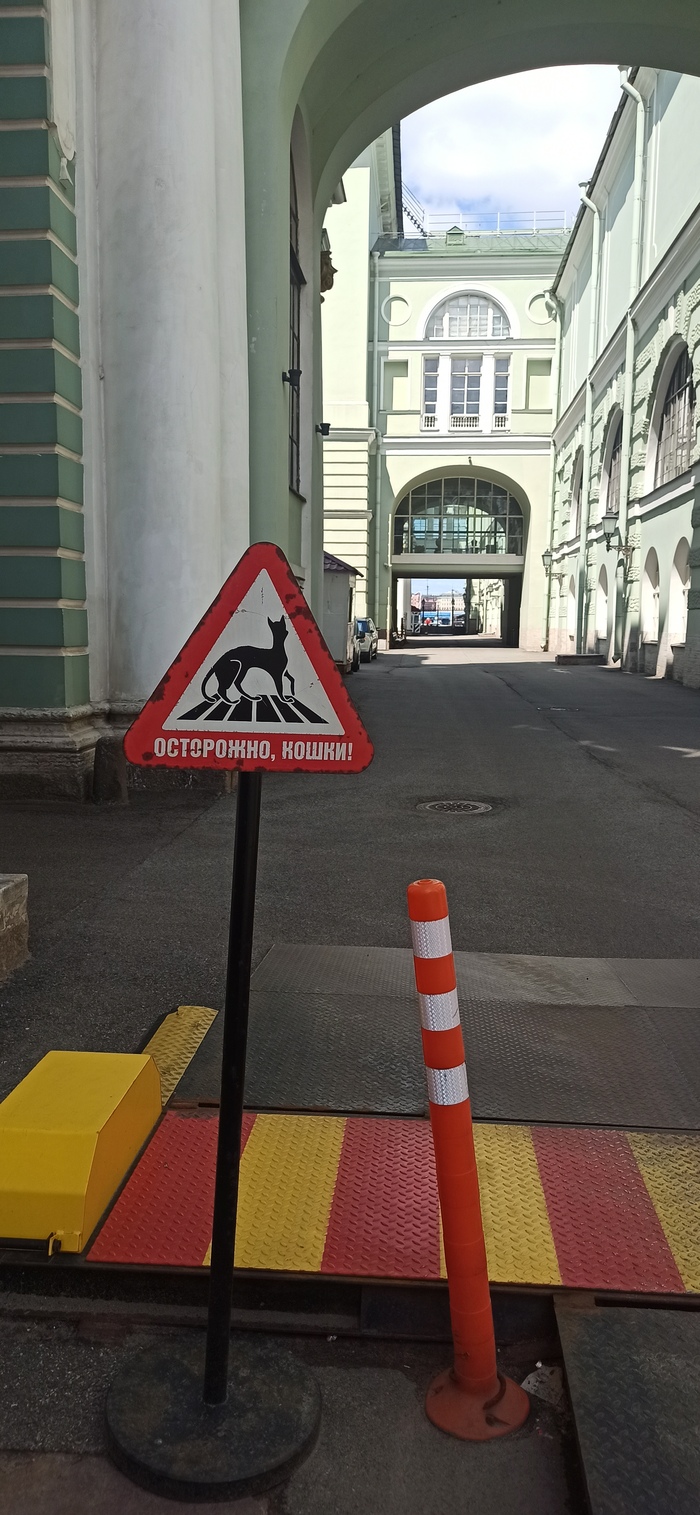 ����� ����� ����