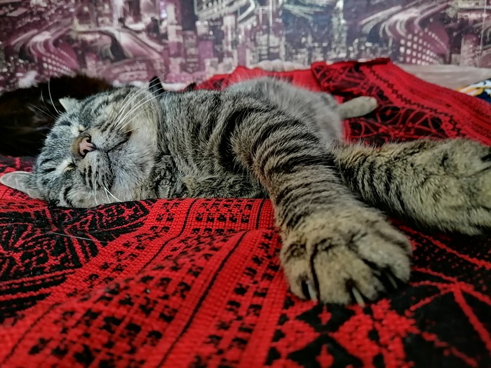 ��� ��� ���� � �����