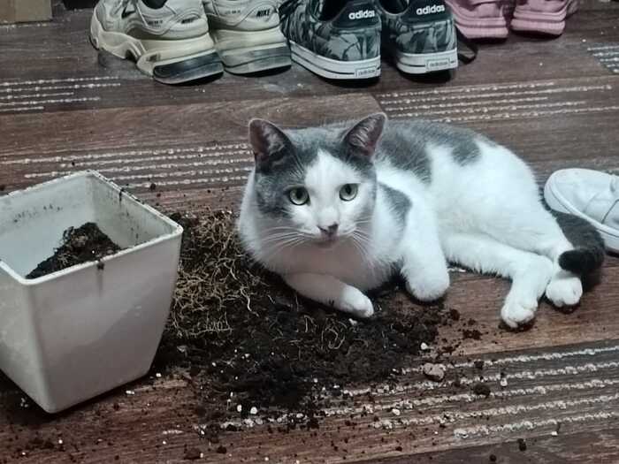 �������������� � �����. ����� ��� �� �������� Upd:�� ������ � ����!!!!