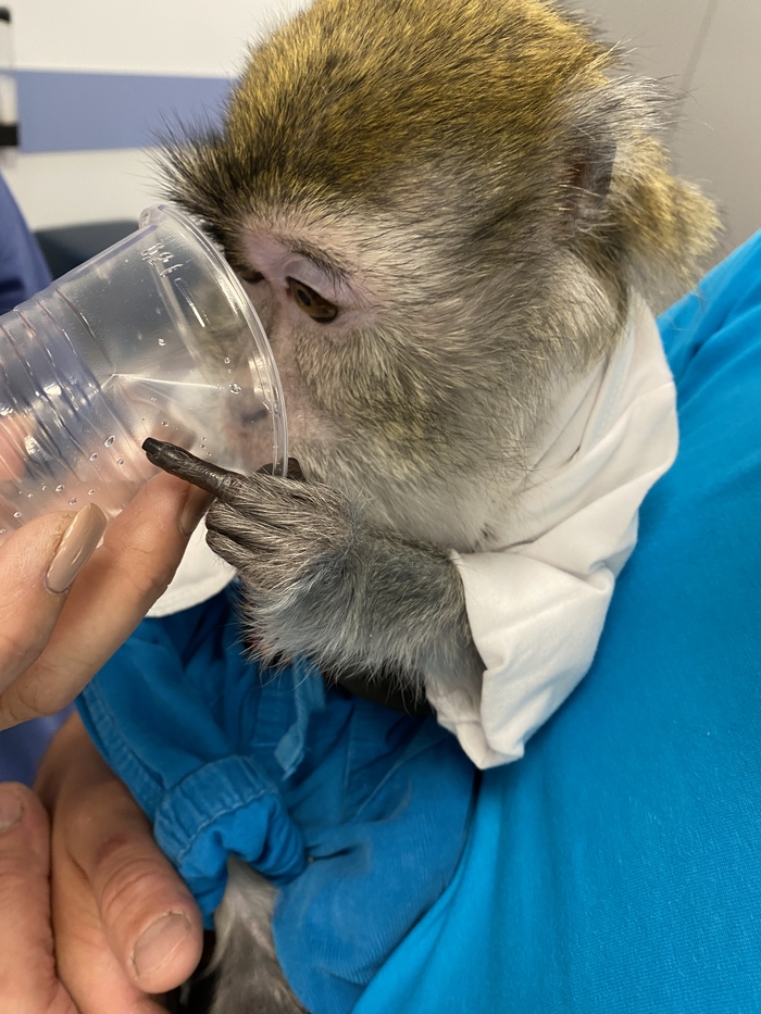 ��������� ��� ���������