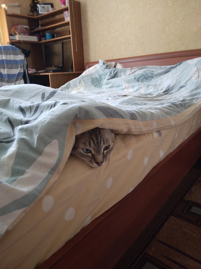 � �,���,���� ������,�����!?