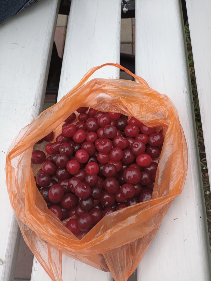 ����� ����, ��� �������)