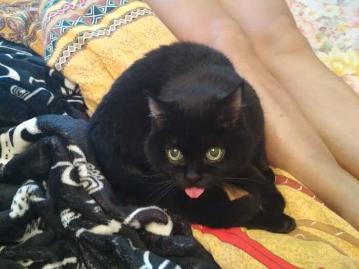 Ну что ты смотришь?