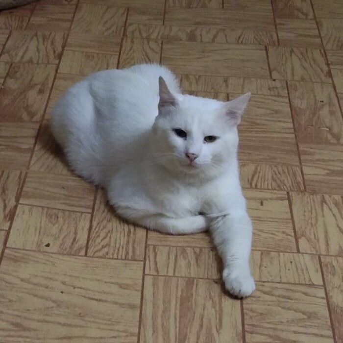 ��� �� ����