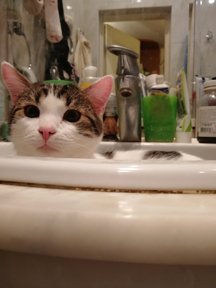 � ��� �� ��� ����� ������� ��������))