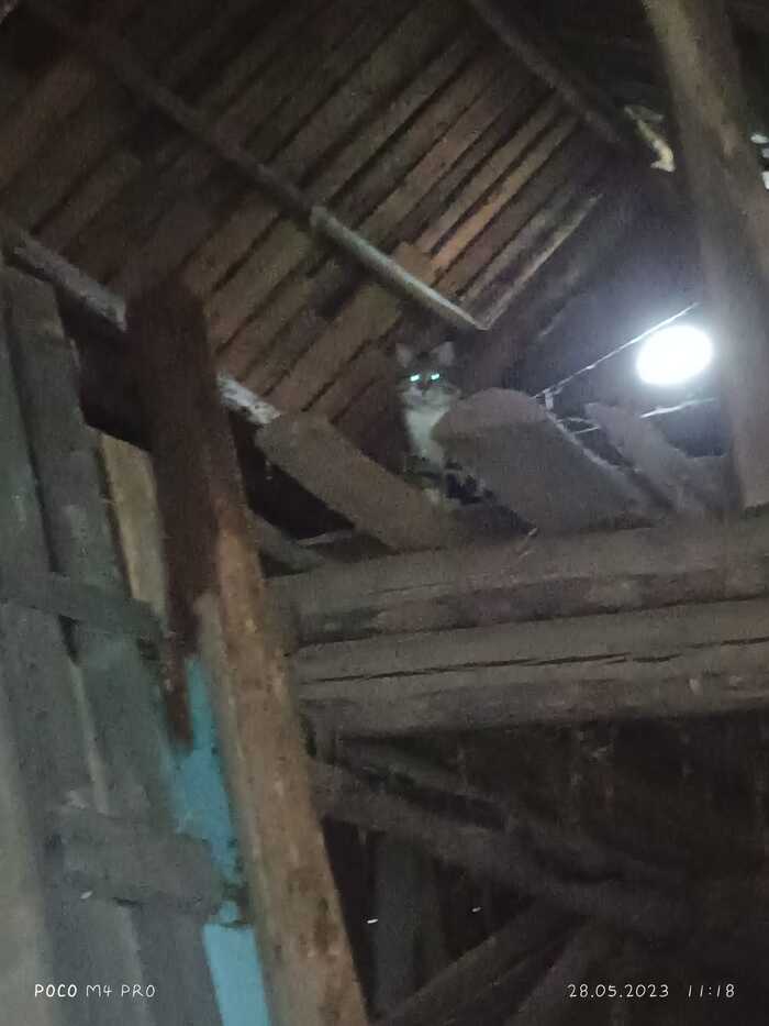 ���� ��� ���!!!