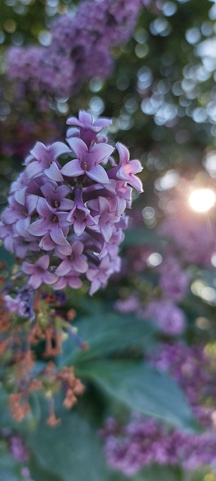 ������ ����� ��� ���������. ��������� ������ ����������, ���� ���