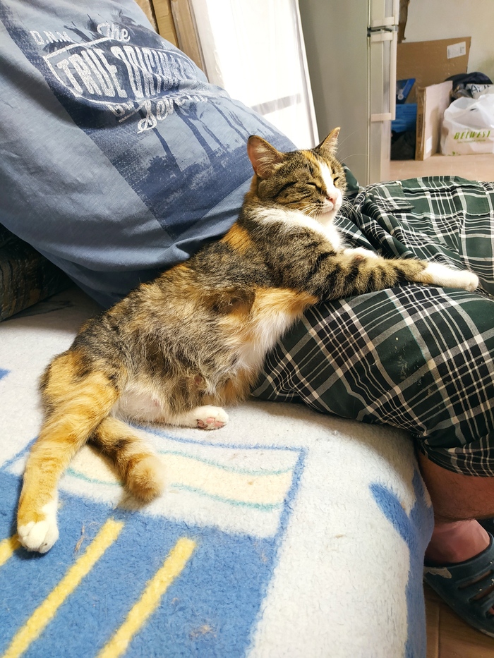 ���� ��� ����